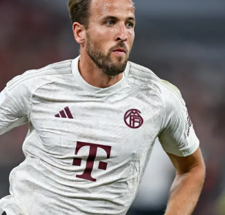 生代的崛起 生代的崛起